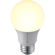 Samsung SmartThings Smart Bulb: Picture 1 thumbnail