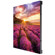 Samsung IF015H-E: Picture 2 thumbnail