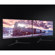 Samsung Odyssey G3 G30D: Picture 23 thumbnail
