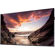 Samsung PH55F-P: Picture 2 thumbnail