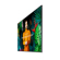 Samsung QBC: Picture 3 thumbnail
