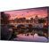 Samsung QB65R-B: Picture 1 thumbnail