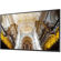Samsung QM75N: Picture 2 thumbnail