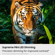 Samsung M70H: Picture 5 thumbnail