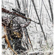 Steiner 4-20x50mm Riflescope: Picture 3 thumbnail