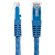 StarTech 25' Molded Cat 6 UTP Patch Cabl...: Picture 1 thumbnail