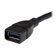 StarTech USB 3.0 A Male to A Female Exte...: Picture 2 thumbnail