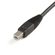 StarTech 10' 4-in-1 USB + DVI KVM Cable ...: Picture 7 thumbnail