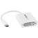 StarTech USB C to DVI Adapter, White: Picture 2 thumbnail