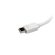 StarTech 3-in-1 Mini DisplayPort to VGA ...: Picture 5 thumbnail
