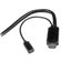 StarTech 6.6' HDMI, DisplayPort and Mini...: Picture 4 thumbnail
