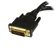 StarTech 8" Wyse DVI Splitter Cable: Picture 1 thumbnail