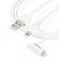 StarTech 3.3' Apple 8 Pin Lightning Conn...: Picture 2 thumbnail
