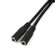 StarTech 3.5mm 4 Conductor Male to 2x 3....: Picture 2 thumbnail