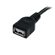 StarTech 3' Black USB 2.0 Extension Cabl...: Picture 2 thumbnail