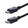 StarTech 1' 20 Pin DisplayPort 1.2 Cable...: Picture 1 thumbnail