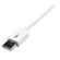 StarTech 1m (3.28') Apple 30-pin Dock to...: Picture 3 thumbnail