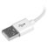 StarTech 15cm (5.90") Short Apple 8-pin ...: Picture 1 thumbnail