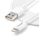 StarTech 3m (9.84') Long Apple 8-pin Lig...: Picture 2 thumbnail