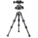 SunwayFoto T1C30N+XB-28II: Picture 6 thumbnail