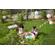 Swann Security Camera: Picture 6 thumbnail