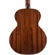 Sawtooth Mahogany: Picture 2 thumbnail