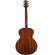 Sawtooth Mahogany: Picture 3 thumbnail