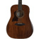 Sawtooth Mahogany: Picture 1 thumbnail