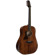 Sawtooth Mahogany: Picture 2 thumbnail