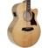 Sawtooth Maple: Picture 4 thumbnail