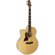 Sawtooth Maple: Picture 5 thumbnail