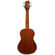 Sawtooth Concert: Picture 3 thumbnail