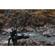 Syrp Magic Carpet Carbon Track: Picture 2 thumbnail