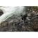 Syrp Magic Carpet Carbon Track: Picture 6 thumbnail