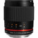 Samyang 300mm f/6.3: Picture 6 thumbnail