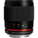 Samyang 300mm f/6.3: Picture 1 thumbnail