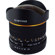 Samyang 8mm F/3.5: Picture 1 thumbnail