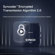 Synco Audio G2-A2: Picture 14 thumbnail