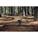Syrp Magic Carpet Slider Kit: Picture 3 thumbnail