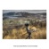 Syrp Genie Motion Control: Picture 2 thumbnail