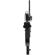 Teradek Antenna Array: Picture 6 thumbnail