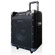 Technical Pro WASP800UIBT: Picture 2 thumbnail