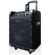 Technical Pro WASP1000 10" Battery Powered PA System with Dual Wireless VHF Microphones, 110-220V, Black: Picture 1 thumbnail
