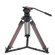 Teris TS100CF-Q: Picture 1 thumbnail