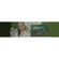 Telestream Software Crossgrade: Picture 2 thumbnail