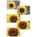Tiffen 138 Filter: Picture 1 thumbnail