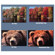 Tiffen 4x4 4mm Scenic Enhancement Kit 3 ...: Picture 1 thumbnail