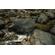 Tiffen Coarse Linear Polarizer: Picture 6 thumbnail
