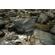 Tiffen Coarse Linear Polarizer: Picture 7 thumbnail