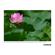 Tamron 150-500mm f/5-6.7: Picture 12 thumbnail